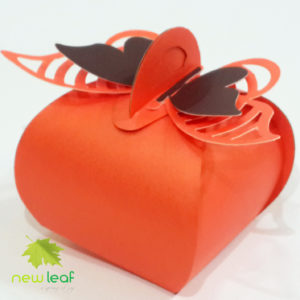 Mini Orange Butterfly Box